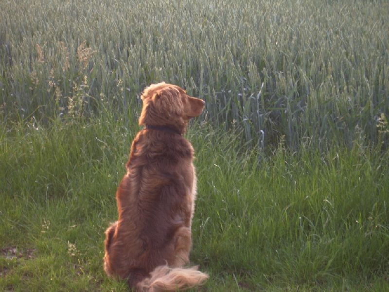 2011- 267.jpg